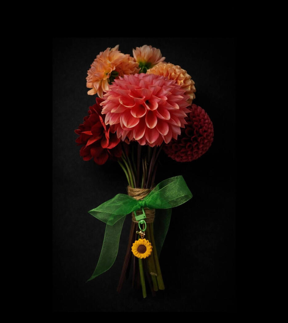 Collab with Tararua Dahlias Valentine 2026