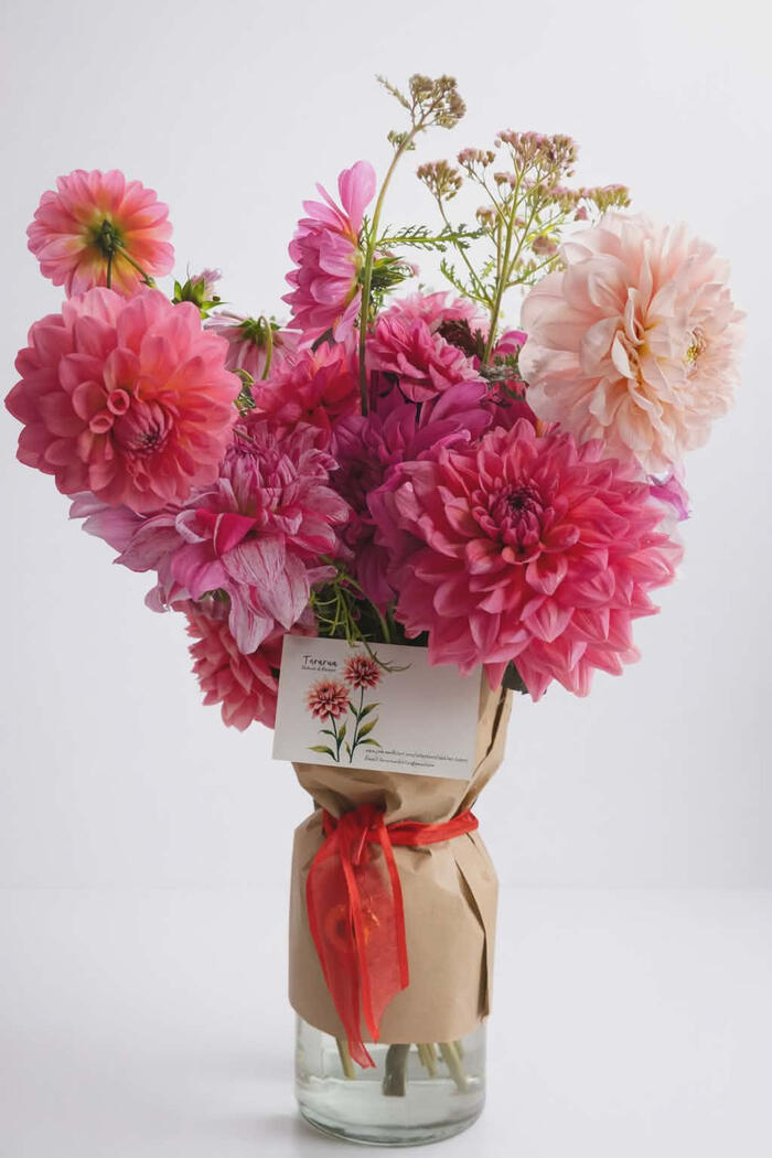 The Toy Café Studio x Tararua Dahlias collab post - Valentine 2026
